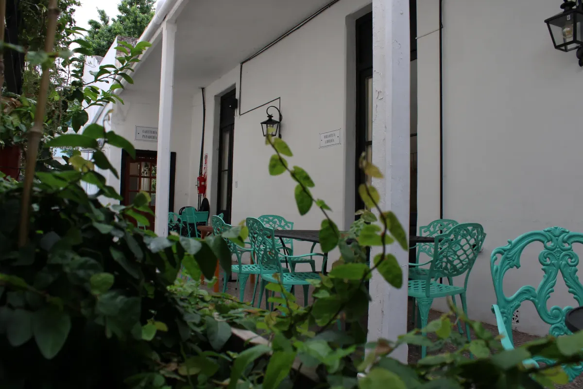 Movimiento y bienestar en un espacio luminoso con plantas